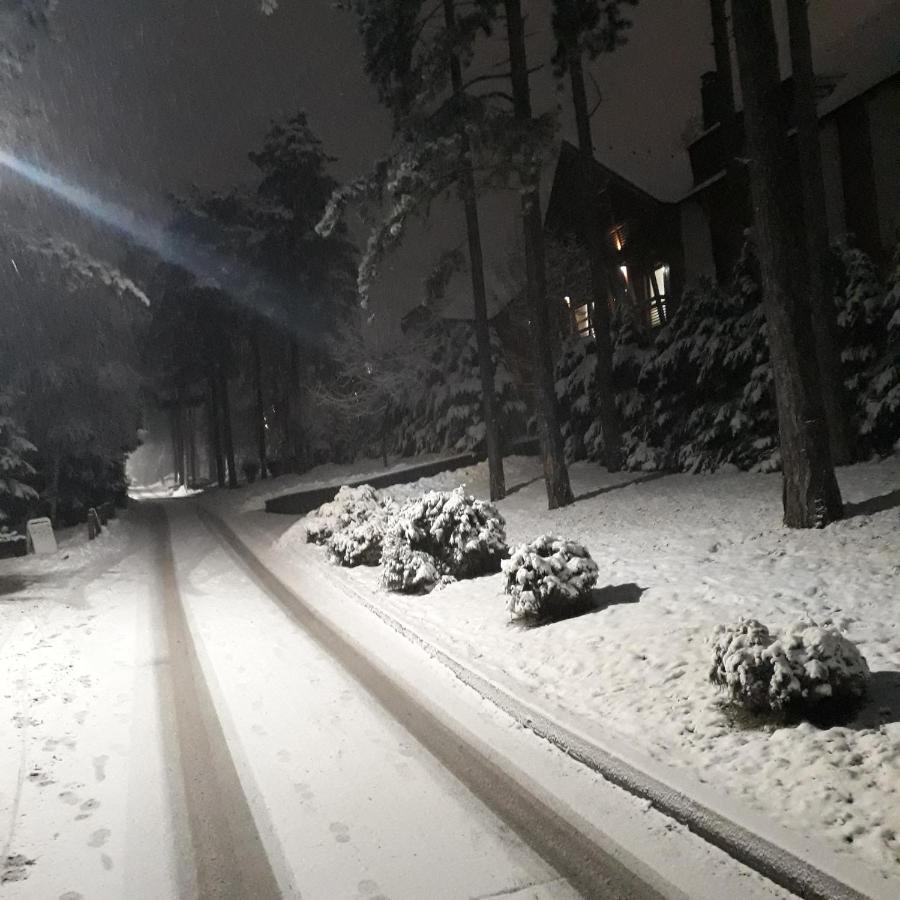 Apartman Pavle Zlatibor Eksteriør billede