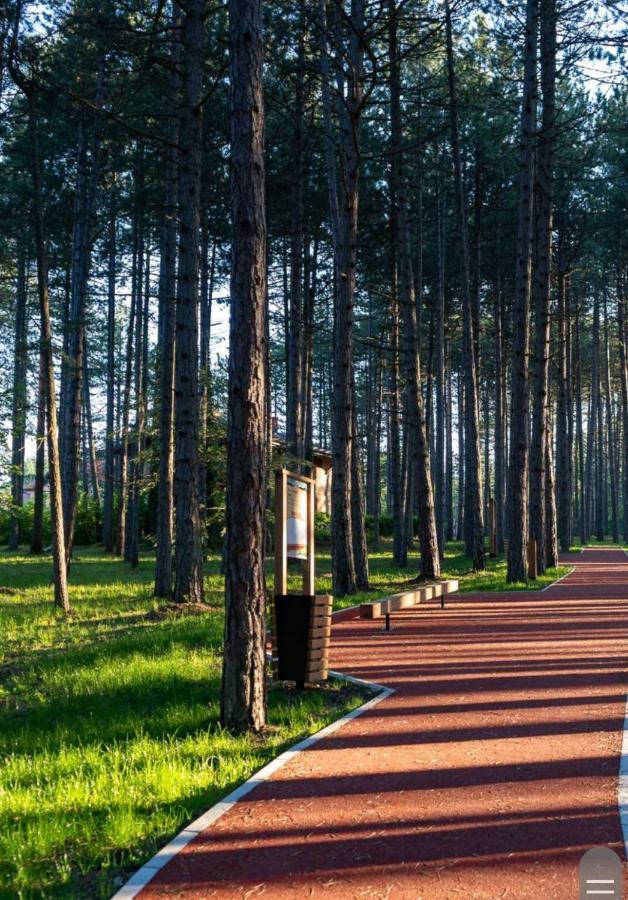 Apartman Pavle Zlatibor Eksteriør billede